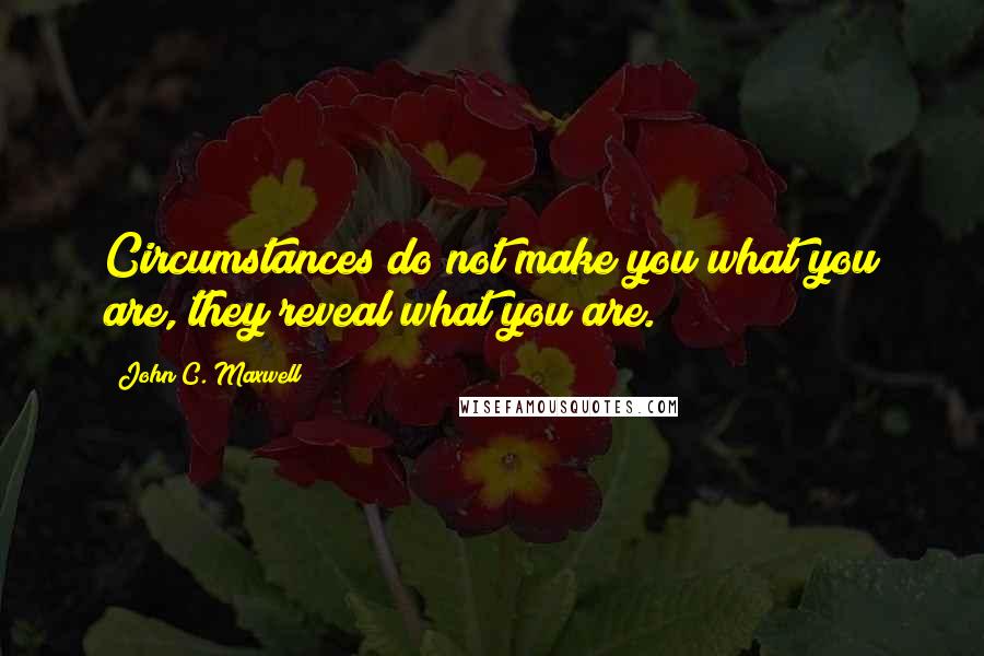 John C. Maxwell Quotes: Circumstances do not make you what you are, they reveal what you are.