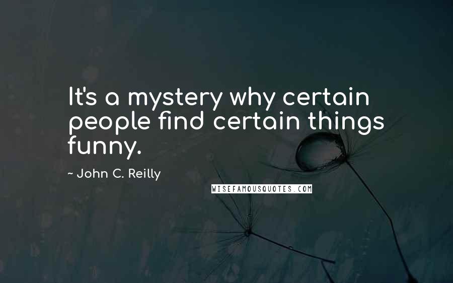 John C. Reilly Quotes: It's a mystery why certain people find certain things funny.