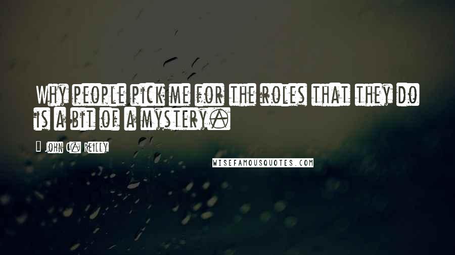 John C. Reilly Quotes: Why people pick me for the roles that they do is a bit of a mystery.