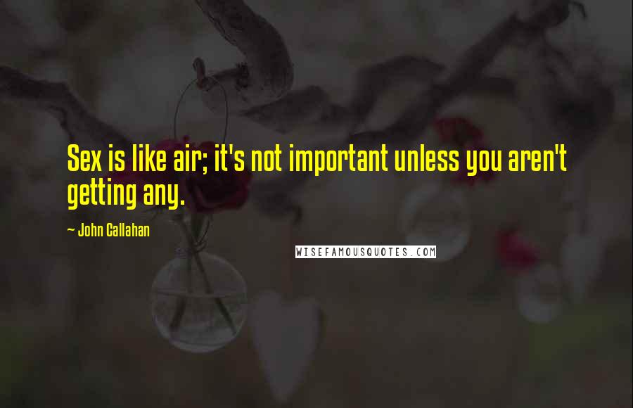 John Callahan Quotes: Sex is like air; it's not important unless you aren't getting any.