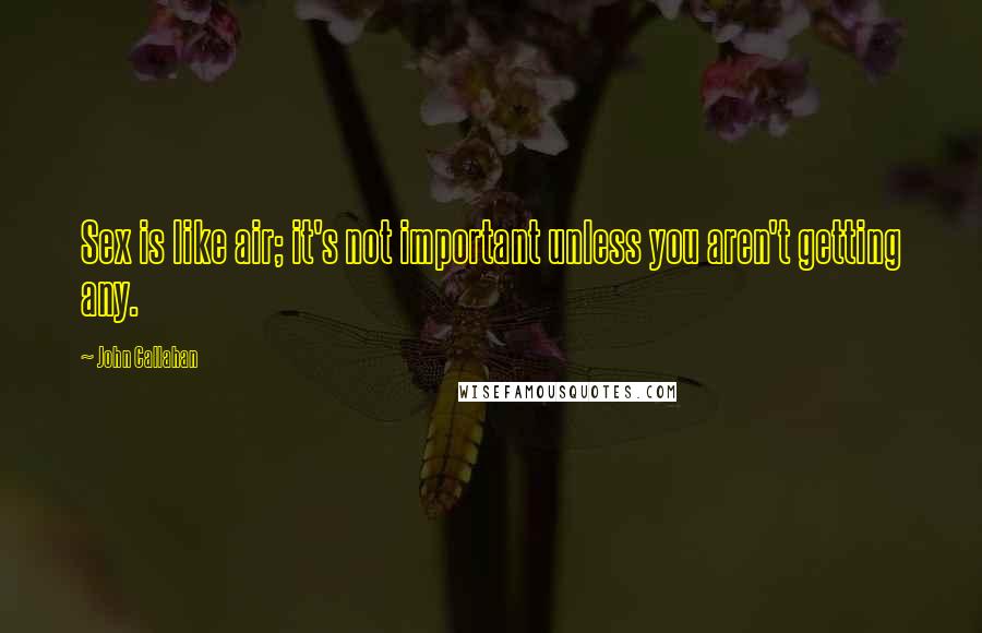 John Callahan Quotes: Sex is like air; it's not important unless you aren't getting any.