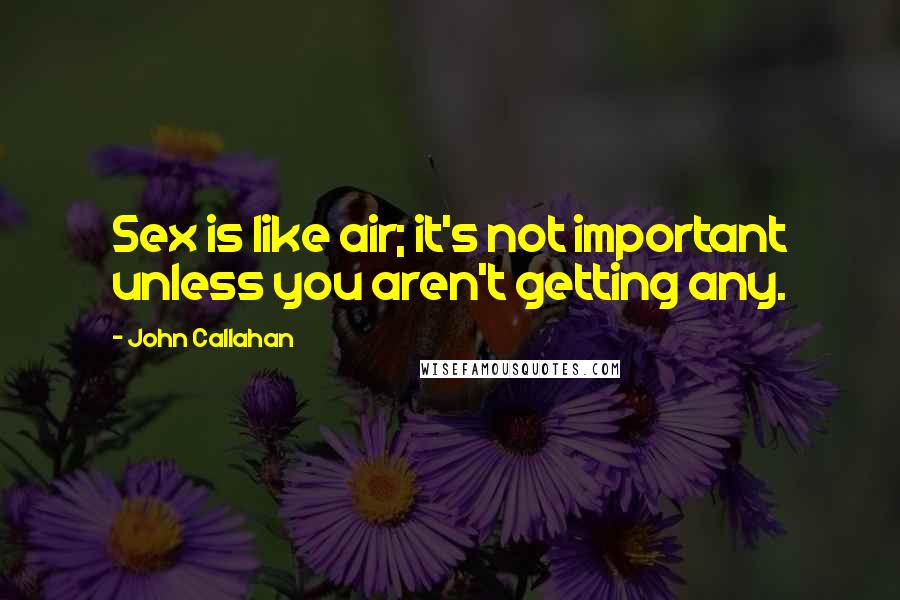 John Callahan Quotes: Sex is like air; it's not important unless you aren't getting any.