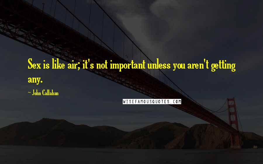 John Callahan Quotes: Sex is like air; it's not important unless you aren't getting any.