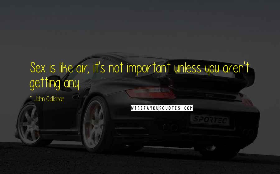 John Callahan Quotes: Sex is like air; it's not important unless you aren't getting any.