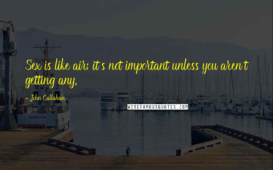 John Callahan Quotes: Sex is like air; it's not important unless you aren't getting any.
