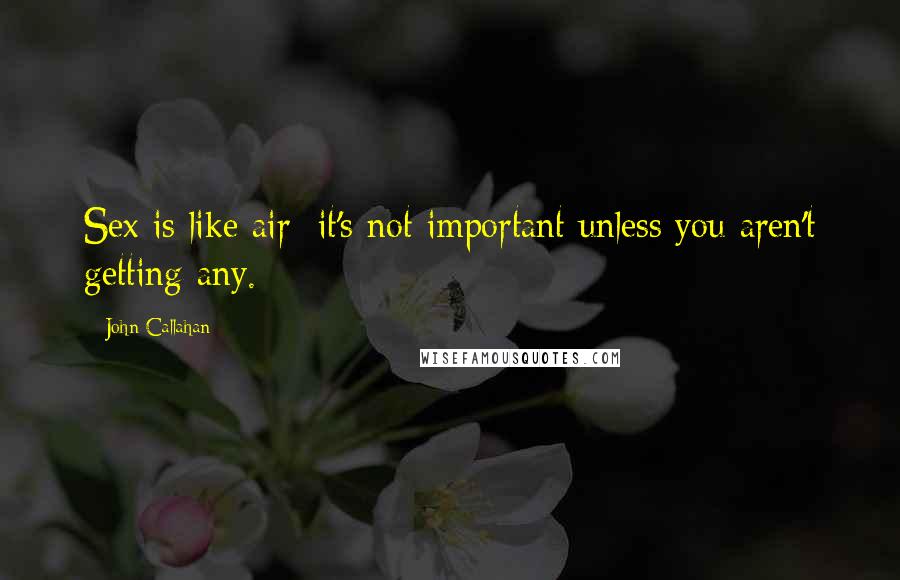 John Callahan Quotes: Sex is like air; it's not important unless you aren't getting any.