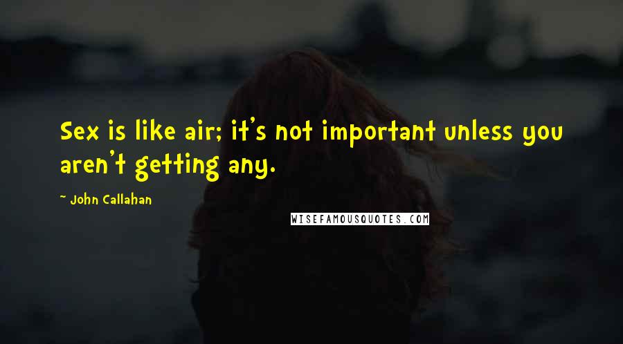John Callahan Quotes: Sex is like air; it's not important unless you aren't getting any.