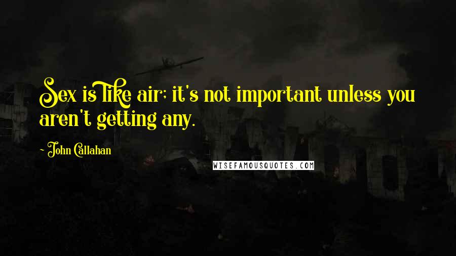 John Callahan Quotes: Sex is like air; it's not important unless you aren't getting any.