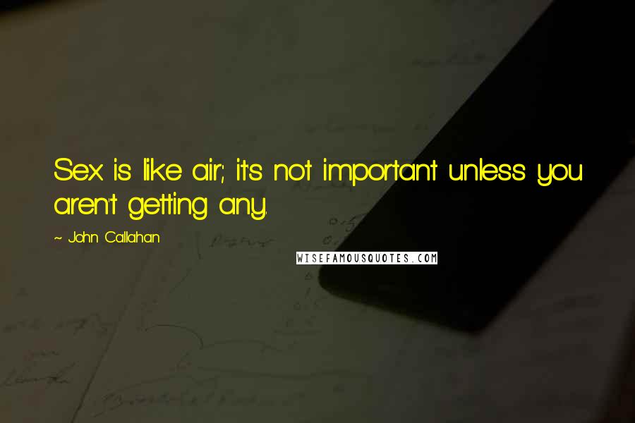 John Callahan Quotes: Sex is like air; it's not important unless you aren't getting any.