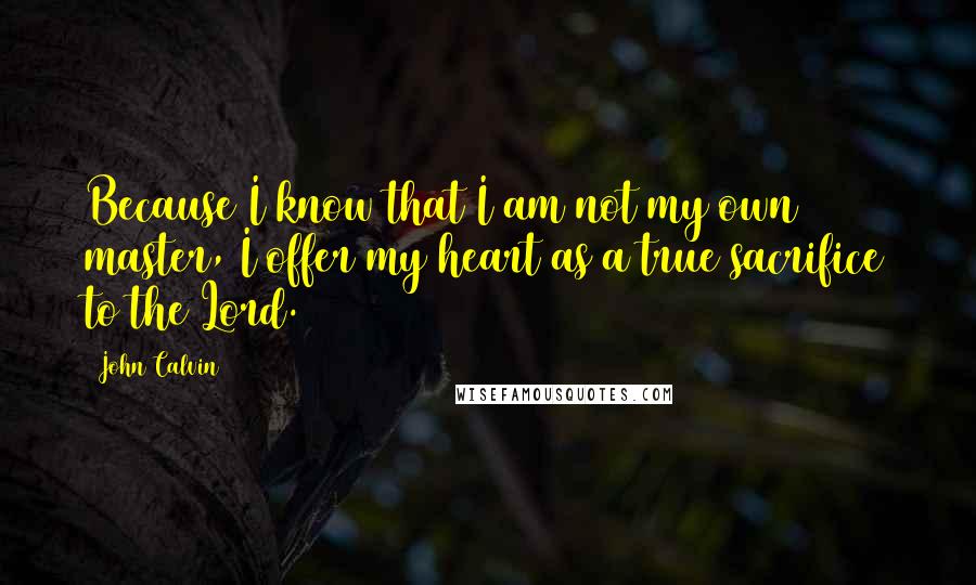 John Calvin Quotes: Because I know that I am not my own master, I offer my heart as a true sacrifice to the Lord.