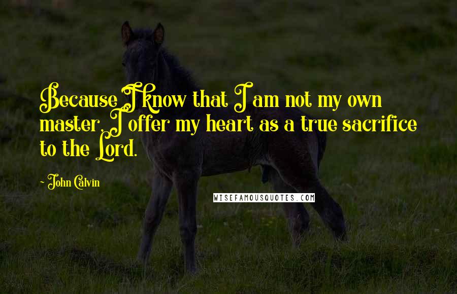 John Calvin Quotes: Because I know that I am not my own master, I offer my heart as a true sacrifice to the Lord.