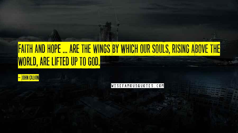 John Calvin Quotes: Faith and hope ... are the wings by which our souls, rising above the world, are lifted up to God.