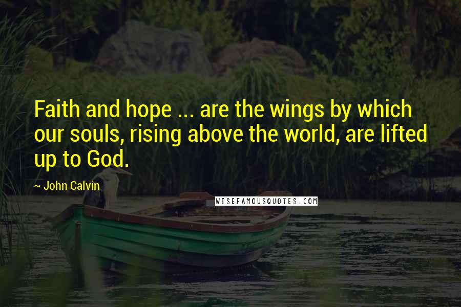 John Calvin Quotes: Faith and hope ... are the wings by which our souls, rising above the world, are lifted up to God.