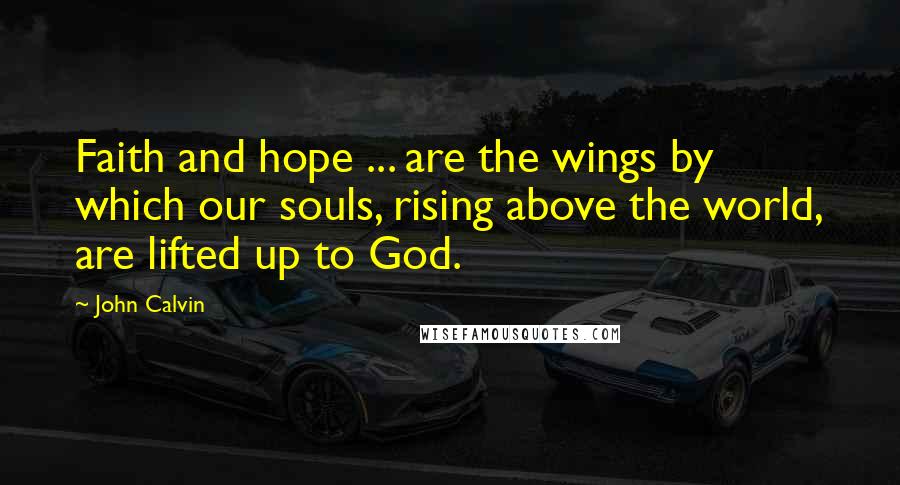 John Calvin Quotes: Faith and hope ... are the wings by which our souls, rising above the world, are lifted up to God.