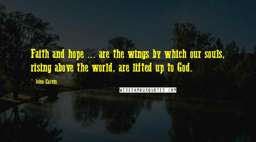 John Calvin Quotes: Faith and hope ... are the wings by which our souls, rising above the world, are lifted up to God.