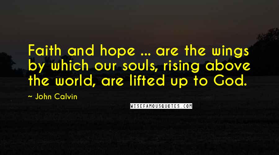 John Calvin Quotes: Faith and hope ... are the wings by which our souls, rising above the world, are lifted up to God.