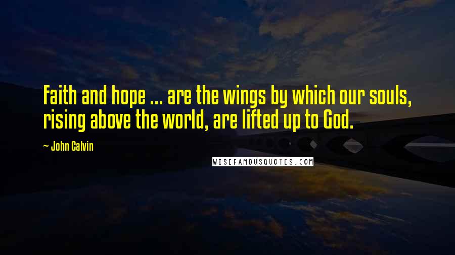 John Calvin Quotes: Faith and hope ... are the wings by which our souls, rising above the world, are lifted up to God.