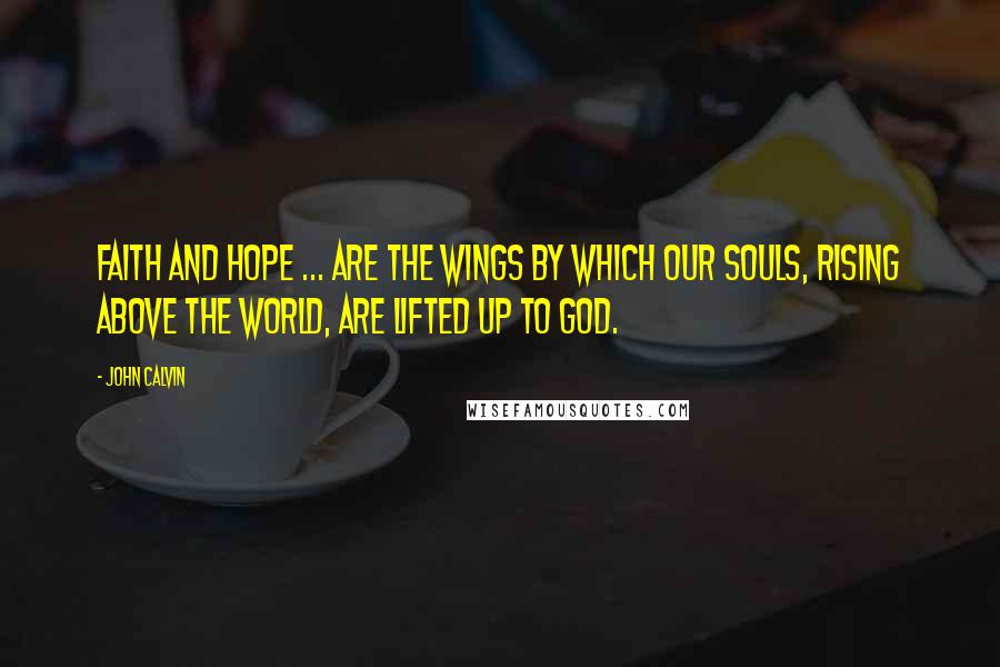 John Calvin Quotes: Faith and hope ... are the wings by which our souls, rising above the world, are lifted up to God.