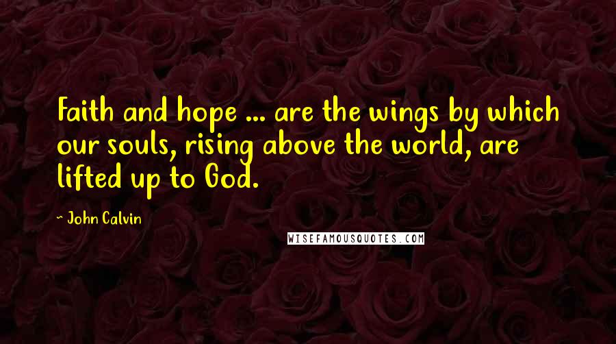 John Calvin Quotes: Faith and hope ... are the wings by which our souls, rising above the world, are lifted up to God.