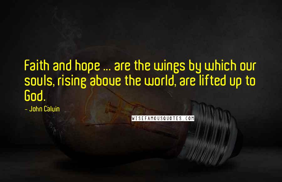 John Calvin Quotes: Faith and hope ... are the wings by which our souls, rising above the world, are lifted up to God.