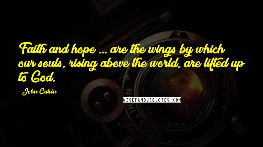 John Calvin Quotes: Faith and hope ... are the wings by which our souls, rising above the world, are lifted up to God.