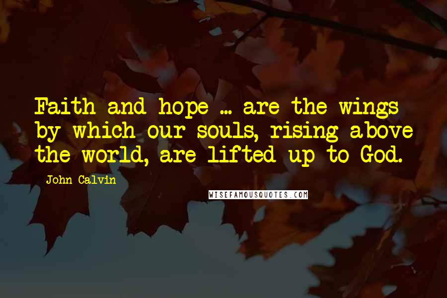 John Calvin Quotes: Faith and hope ... are the wings by which our souls, rising above the world, are lifted up to God.