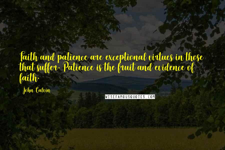 John Calvin Quotes: Faith and patience are exceptional virtues in those that suffer. Patience is the fruit and evidence of faith.