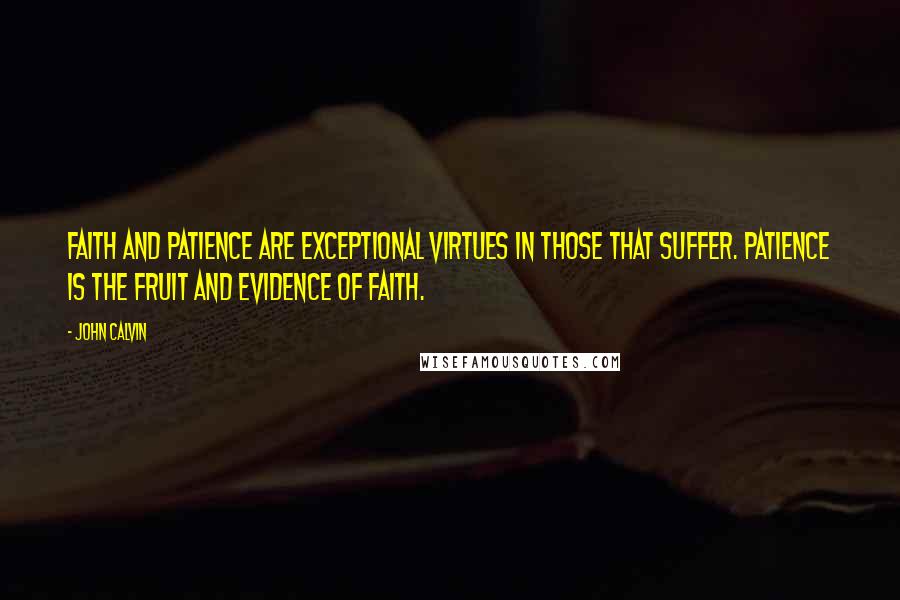 John Calvin Quotes: Faith and patience are exceptional virtues in those that suffer. Patience is the fruit and evidence of faith.