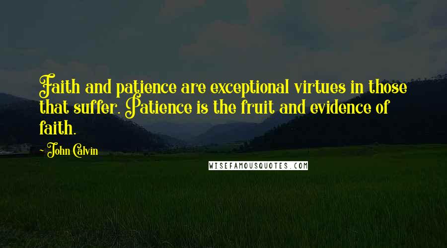 John Calvin Quotes: Faith and patience are exceptional virtues in those that suffer. Patience is the fruit and evidence of faith.