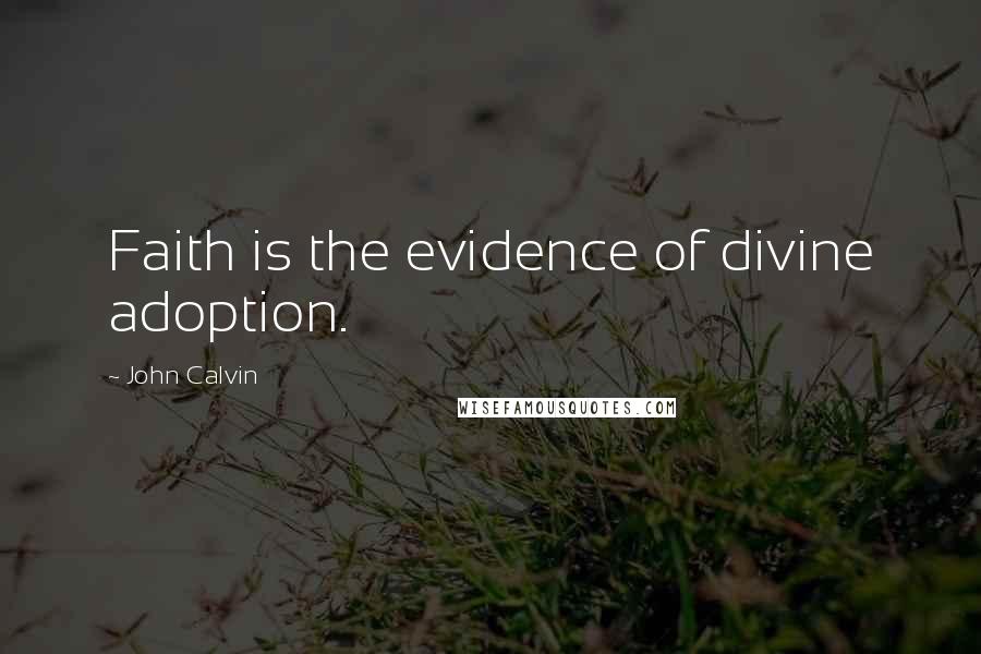John Calvin Quotes: Faith is the evidence of divine adoption.