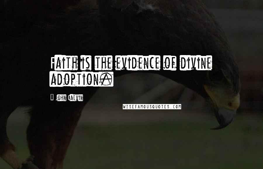 John Calvin Quotes: Faith is the evidence of divine adoption.