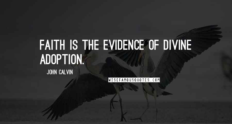 John Calvin Quotes: Faith is the evidence of divine adoption.