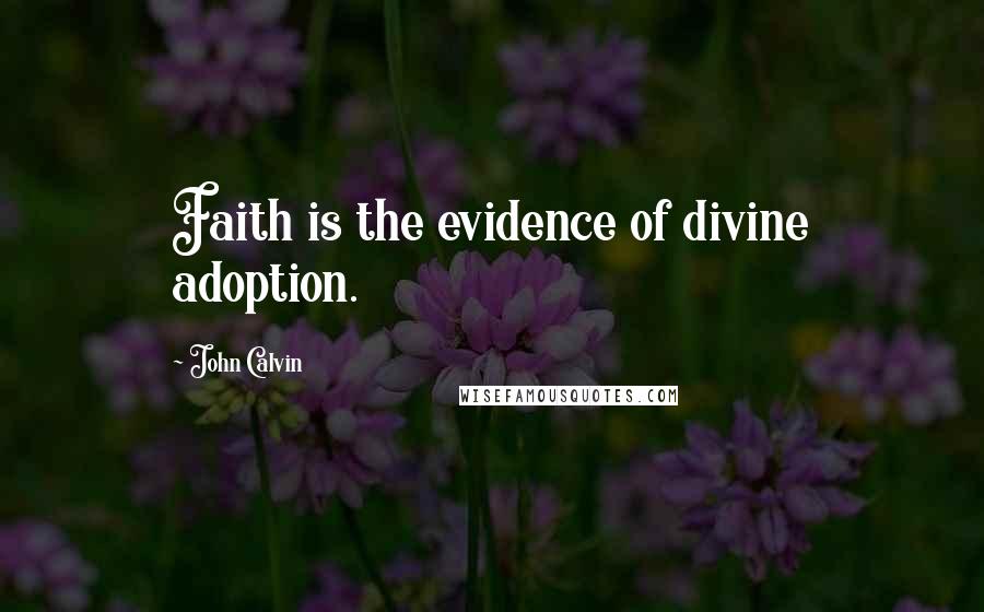 John Calvin Quotes: Faith is the evidence of divine adoption.