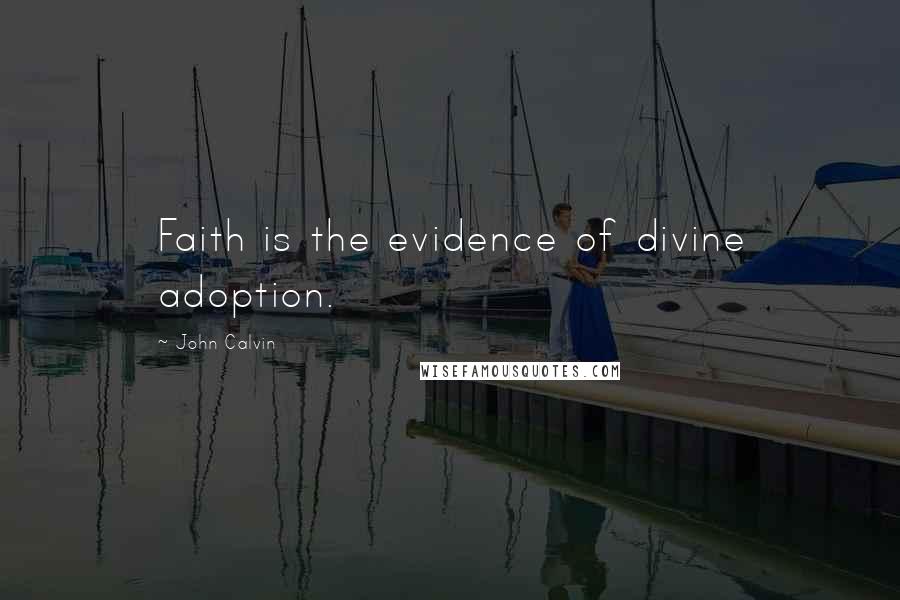John Calvin Quotes: Faith is the evidence of divine adoption.