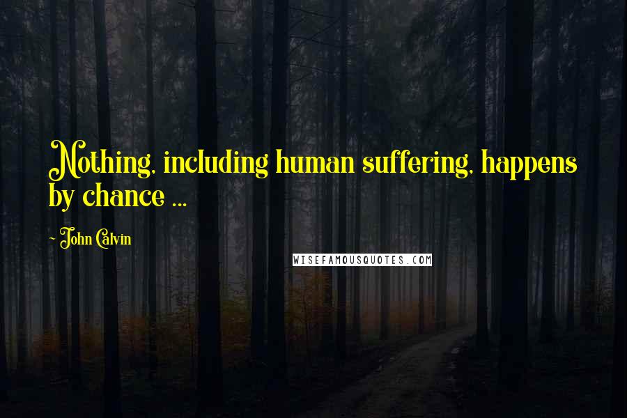 John Calvin Quotes: Nothing, including human suffering, happens by chance ...