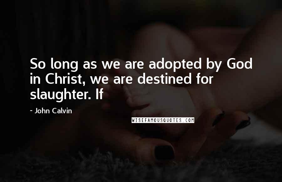 John Calvin Quotes: So long as we are adopted by God in Christ, we are destined for slaughter. If