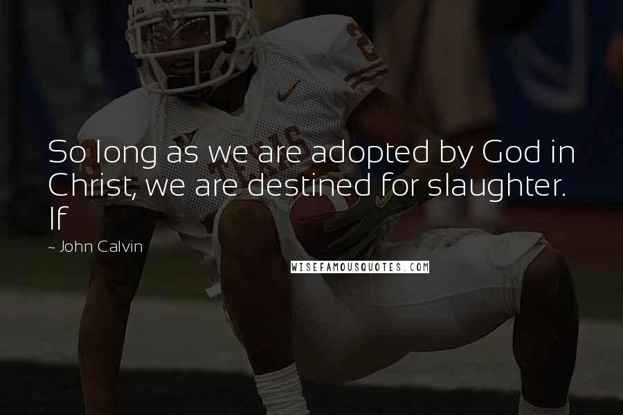 John Calvin Quotes: So long as we are adopted by God in Christ, we are destined for slaughter. If