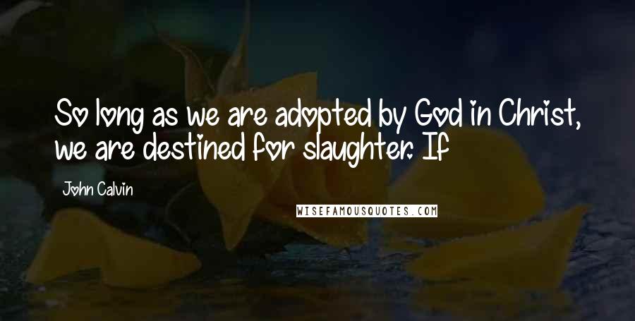 John Calvin Quotes: So long as we are adopted by God in Christ, we are destined for slaughter. If