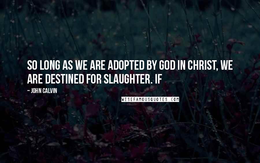 John Calvin Quotes: So long as we are adopted by God in Christ, we are destined for slaughter. If