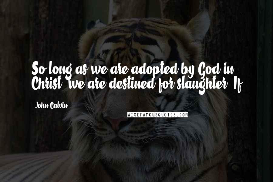 John Calvin Quotes: So long as we are adopted by God in Christ, we are destined for slaughter. If