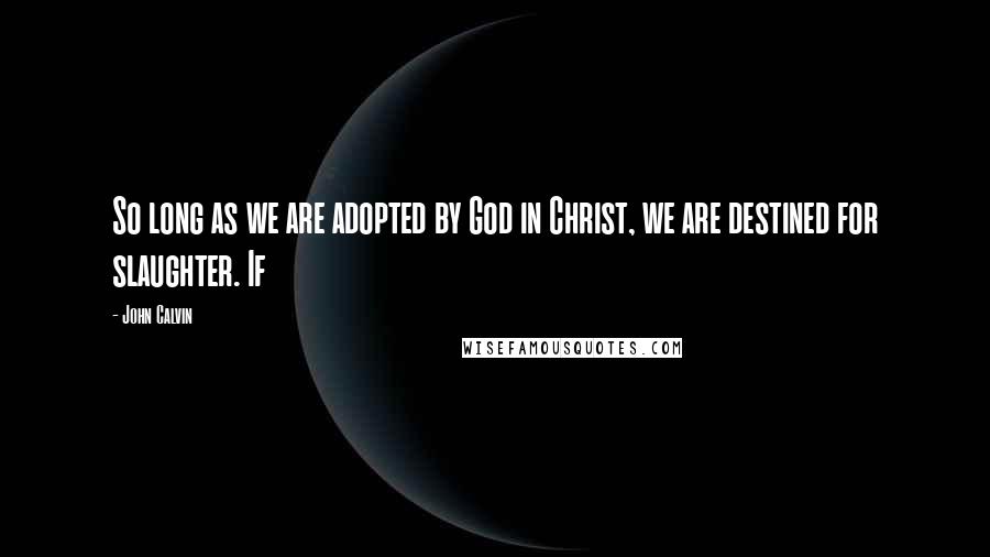 John Calvin Quotes: So long as we are adopted by God in Christ, we are destined for slaughter. If