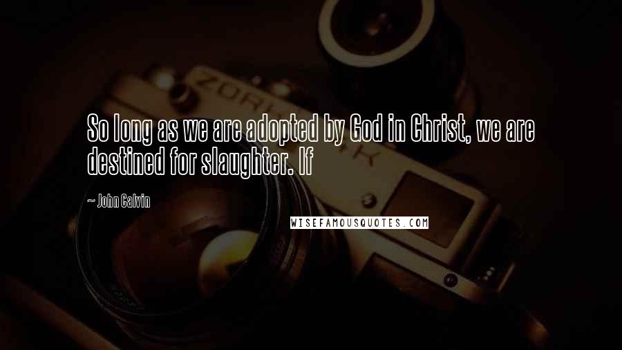 John Calvin Quotes: So long as we are adopted by God in Christ, we are destined for slaughter. If