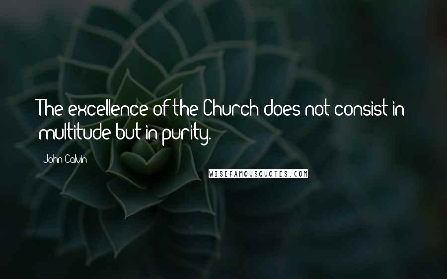 John Calvin Quotes: The excellence of the Church does not consist in multitude but in purity.