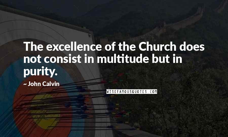 John Calvin Quotes: The excellence of the Church does not consist in multitude but in purity.