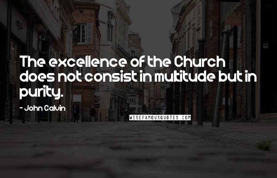 John Calvin Quotes: The excellence of the Church does not consist in multitude but in purity.