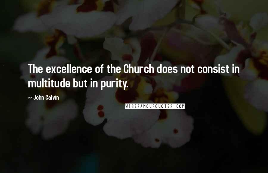 John Calvin Quotes: The excellence of the Church does not consist in multitude but in purity.
