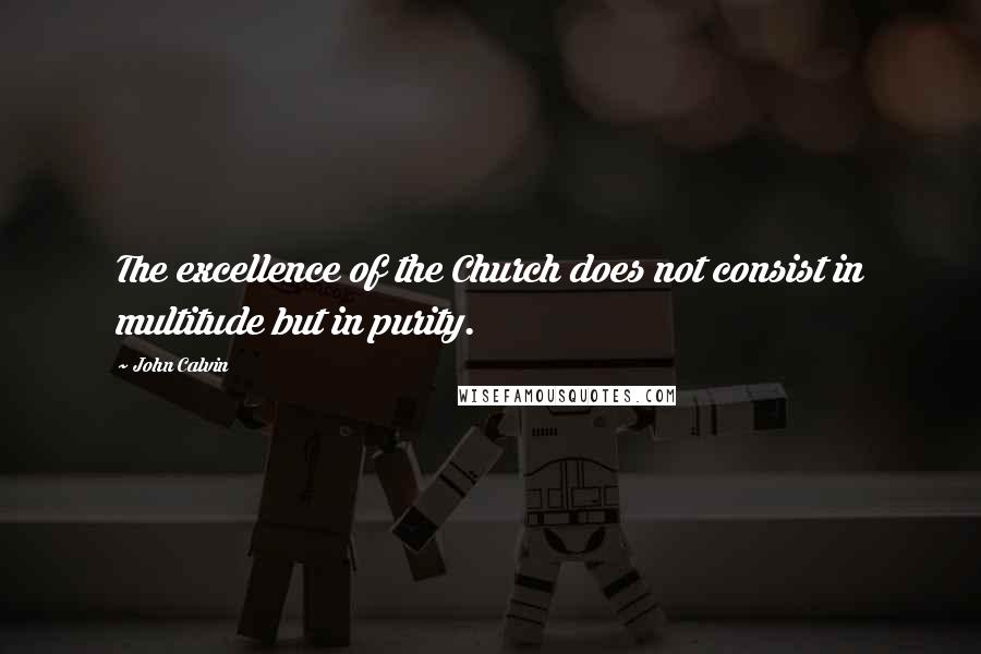 John Calvin Quotes: The excellence of the Church does not consist in multitude but in purity.