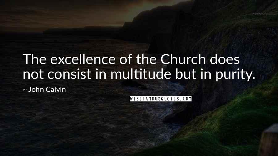 John Calvin Quotes: The excellence of the Church does not consist in multitude but in purity.