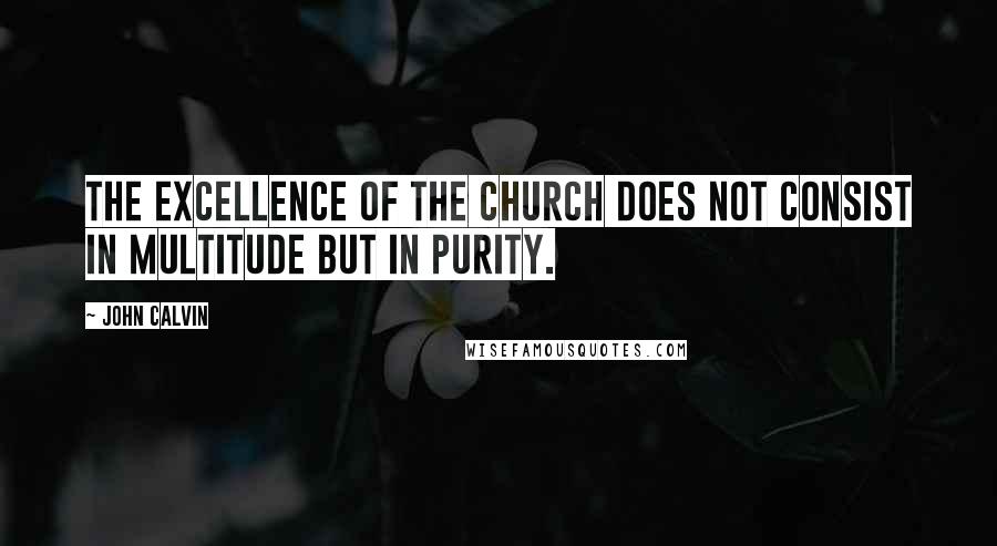 John Calvin Quotes: The excellence of the Church does not consist in multitude but in purity.