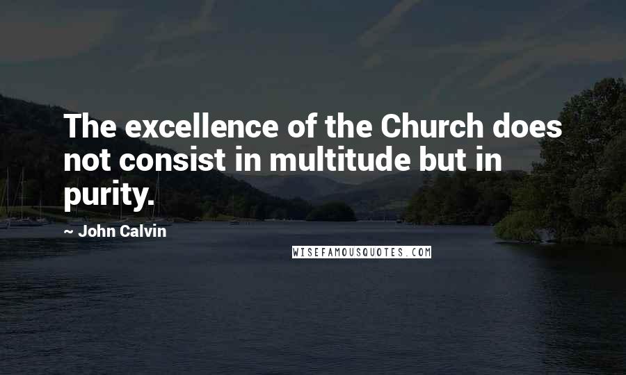 John Calvin Quotes: The excellence of the Church does not consist in multitude but in purity.